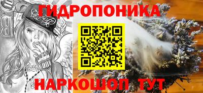 прущие грибы Рыбинск