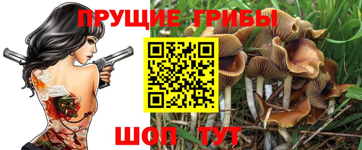 Галлюциногенные грибы Magic Shrooms  Галлюциногенные грибы Magic Shrooms  Вход с VPN  Тольятти 